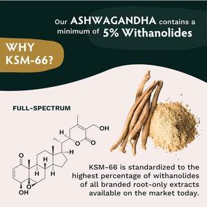 Capsules d'Ashwagandha KSM-66 d'OEM/ODM-extrait organique de poudre de racine, supplément ayurvédique - Product Image 3