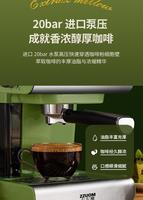 Machine de détartrage commerciale pour café, prix promotionnel pour restaurants, détartrage précis pour machine à expresso, modèle Dubai Deluxe