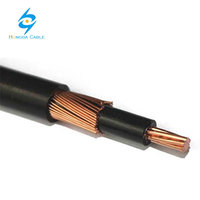Cable de Cobre Awg Monofásico, Concentrico, Aislado con XLPE y PVC, 2x8 2x10 3x6 3x8 para Aplicaciones Aéreas