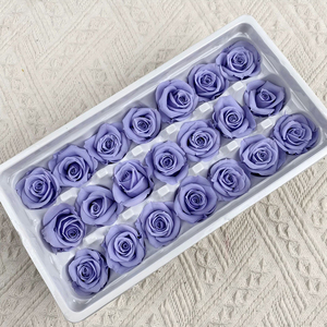 Fabricant américain et chinois de fleurs naturelles préservées, <span class=keywords><strong>rose</strong></span> éternelle, <span class=keywords><strong>rose</strong></span> longue durée, décoration d'intérieur, style antique, à bon <span class=keywords><strong>prix</strong></span> - Product Image 5