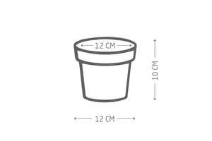 Macetas de Arcilla Terracota Natural, Ecológicas, Biodegradables, Duraderas, Hechas a Mano, Ideales para Interiores y Exteriores - Product Image 5
