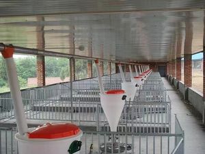 Alimentador seco de cerdo de plástico a precio de fábrica con bandeja de acero inoxidable y <span class=keywords><strong>tolva</strong></span> de plástico Kit de control de alimentador completo Alimentador de cerdo - Product Image 5