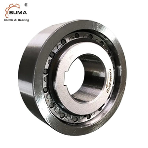 SUMA FXN31-17/60 Backstop Clutch One Way Sprag <b>Bearing</b> for Pumps FXN Series - Product Image 6
