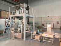Machine d'emballage automatique de sac préfabriqué de pochette de bonbons d'ours en gomme à bulles bonbons Doypack