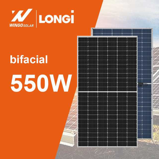 Longi Solar Energy Panel