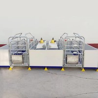 Équipement d'Élevage de Porcs pour Truies en Salle de Mise Bas