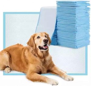 แผ่นรองซับฉี่สุนัขแบบใช้แล้วทิ้ง 5 ชั้น ขนาดใหญ่ สำหรับฝึกสุนัข ยี่ห้อ Pet Care Factory ขายตรงจากโรงงาน - Product Image 1