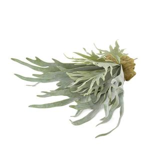 Plantes artificielles personnalisées en pot, grandes plantes de jardinage artificielles d'extérieur, grands poteaux de clôture tropicaux, <span class=keywords><strong>fougères</strong></span> simulées - Product Image 4