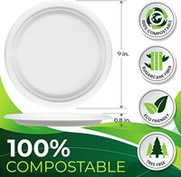 Assiette à dîner en papier jetable biodégradable sans BPA pour fête de vacances, barbecue, bagasse de canne à sucre de 9 pouces
