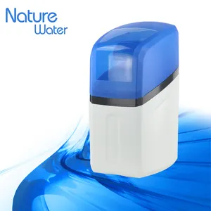 New Style Electronic Water Softener With Automatic Soft Water Control Valve
