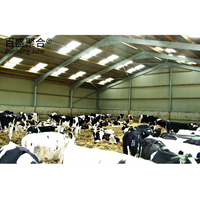 Structure en acier pour bâtiments d'élevage : abri pour chèvres, poulailler, bâtiment pour bovins, ferme porcine, cages pour poules pondeuses, écurie pour chevaux