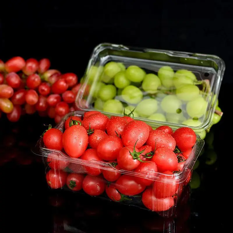 Wholesale 500g PET Plastic Fruit Packaging Box Food Container for Vegetable Fruit Transparent Blister Clamshell Box