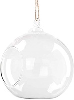Plantes d'Air Tilancia Succulentes Vase Crochets globes suspendus photophore en verre Pour les mariages, Intérieur Extérieur Décoration de Maison