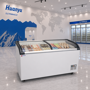 Vitrine Réfrigérée Commerciale à Porte Courbe en Verre pour Glaces - Product Image 5