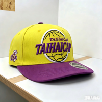 Topi Baseball Snapback 6 Panel Unisex Berkualitas Tinggi Bordir Puff Custom Terry Bows Formal Sporty Terstruktur Puff Printing