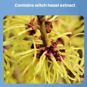 Gel Natural a Base de Carbomer <span class=keywords><strong>para</strong></span> Hemorroides, Alivio Rápido del Dolor, Antiinflamatorio, Cuidado Anal, Uso Externo, Grado Médico Clase II - Product Image 6