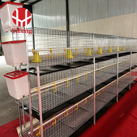 Cage à poulets de chair de type H, cage à batterie pour poulets de chair à 3 niveaux avec plancher en plastique à lattes, alimentation automatique, certifiée CE