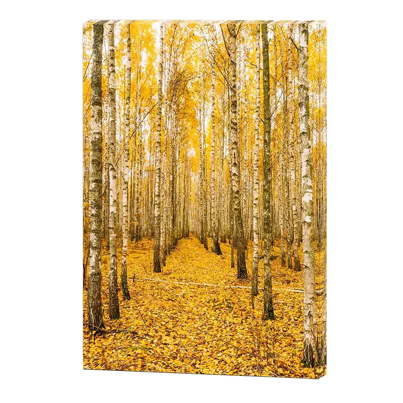 High Quality Promotional Canvas Color Season Forest Tree Living Room Bedroom Wall Home Decoration Artwork 3 Pcs Art Canvas Panel