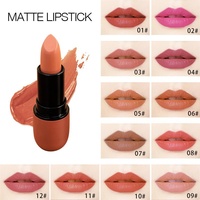 Rouge à lèvres exclusif transfrontalier en forme de balle, 12 couleurs, fini mat, longue tenue, hydratant, améliore le teint, fabricant