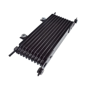 Enfriadores de aceite 216064EA0A 21606-4EA0A para Nissan - Product Image 1