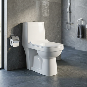 สุขภัณฑ์สำหรับ jorden สุขภัณฑ์อินเดียที่นั่งชักโครก1ชิ้น - Product Image 5