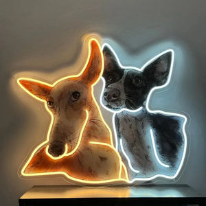 <span class=keywords><strong>Lampe</strong></span> LED rétroéclairée en acrylique en forme d'animaux de dessin animé personnalisée imprimée en UV pour la maison, les événements, les fêtes, <span class=keywords><strong>lampe</strong></span> de chevet adaptée aux enfants - Product Image 4