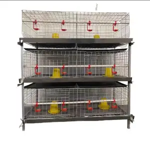 broiler chicken cage system battery poultry meat for 200 chickens for kenya farm