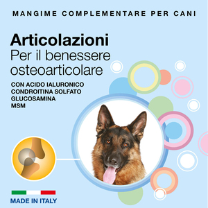 <span class=keywords><strong>Vet</strong></span> Nutrition miglior integratore articolare realizzato In italia integratori alimentari di nuova formulazione per cani adulti - Product Image 2