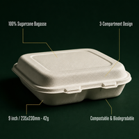 Boîte à clapet compostable à 3 compartiments en bagasse de 9 pouces, en fibre de canne à sucre, pour la restauration et la livraison de repas