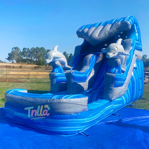 Tobogán Inflable de Grado Comercial para Niños, Parque Infantil al Aire Libre, Toboganes de Agua Grandes, Castillos Inflables, Tobogán Acuático - Product Image 3