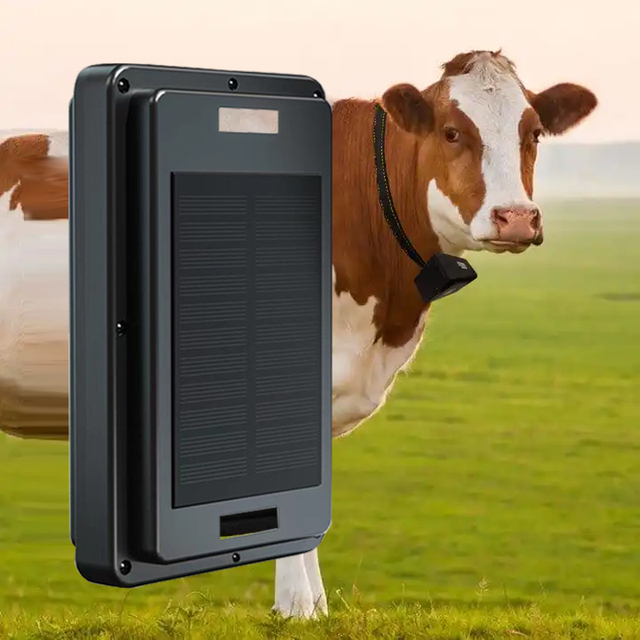 Quality Reasonable Price Solar Powered Gps tracker 2024 Latest Technology GPS tracker System Development Factory Support Custom