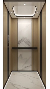 Senshuo Factory Priced Hydraulic Residential Lift für <span class=keywords><strong>Home</strong></span> Hotel Verwenden Sie Mini Electric <span class=keywords><strong>Home</strong></span> <span class=keywords><strong>Elevator</strong></span> Traktion maschine Dining Villa - Product Image 4