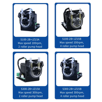 Pompe péristaltique basse pression Ditrontech S300-2B+JZ15 personnalisée avec moteur pas à pas DC 24V et contrôleur de dosage RS485, support OEM