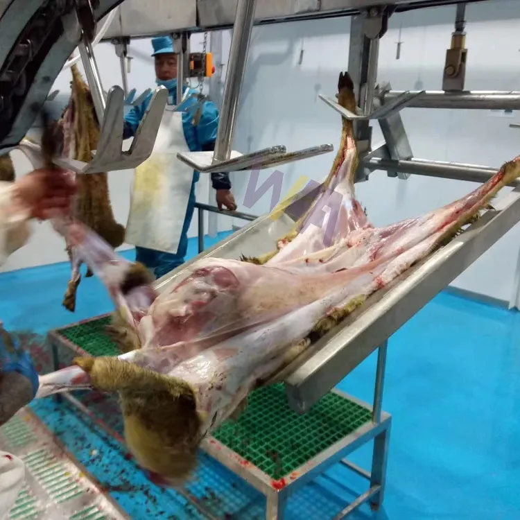 Lal keçi Abattoir ekipmanları koyun mezbaha kuzu kesim makinesi için tam işleme hattı