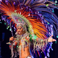 Plumes de faisan Lady Amherst artificielles teintées de 65 cm de la marque YOLAN, certifiées vétérinairement, pour la décoration de fêtes, mariages et carnavals (vente en gros)