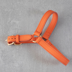 Juego de arnés para perros Fullto Medium, Correa y arnés de lujo para perros, arnés para perros sin tirones - Product Image 6