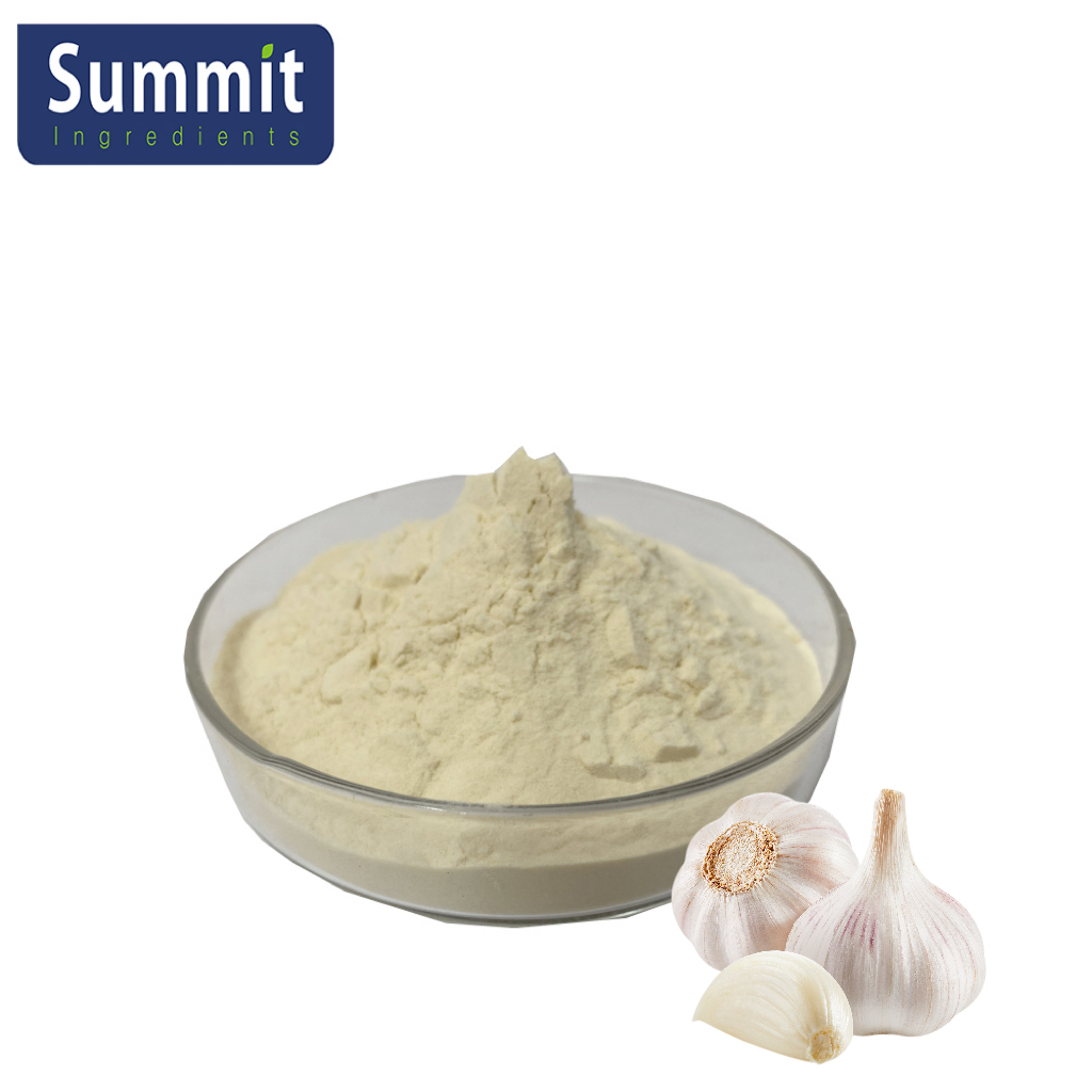 High Quality Garlic Extract Powder Garlic Extract