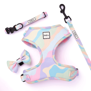Collar de correa de perro de diseño personalizado, juego de lazos, arnés de nailon de neopreno, pecho pequeño, ajustable, correa de perro personalizada para gato - Product Image 4