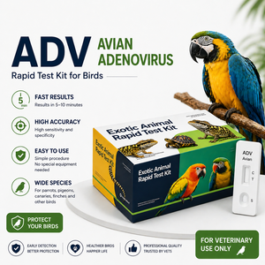 Kit de test rapide d'antigène Salmonella SAL pour oiseaux, haute précision, diagnostic vétérinaire professionnel pour oiseaux de compagnie - Product Image 3