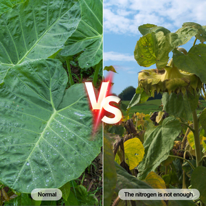 N9 Digital Solo PH Medidor Umidade Jardinagem Água Solo Máquina De Teste com Sensor Prob LCD Solo Tester 4 em 1 PH Meter - Product Image 6