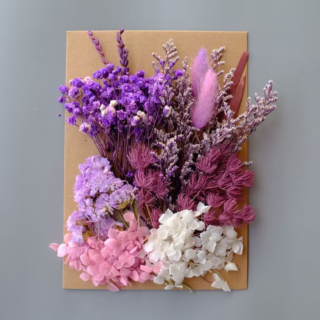 Fleur séchée#9