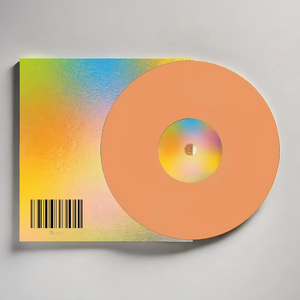 Nouveaux articles chauds Compilation de disques vinyle <span class=keywords><strong>Soul</strong></span> Ost en matériau durable de qualité supérieure - Product Image 4