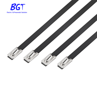 Attache de câble à revêtement époxy en acier inoxydable 316 Attaches de câble autobloquantes utilisées pour les machines, les câbles, les tuyaux ainsi que la reliure extérieure