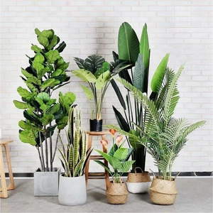 Nordique grand voyageur simulé banane bonsaï intérieur décoratif en plastique plantes en pot bureau plante verte ornements - Product Image 1