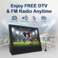 Mesin Karaoke 14" 2 Mikrofon Nirkabel Layar 1366x768 HD Suara Pro untuk Berkemah Piknik Menonton TV