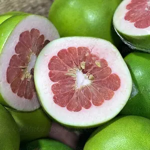 Supplier Vietnam Green A Style Color Pomelo with Taste Sweet Honey