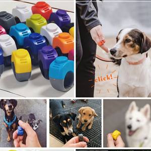 Nouveau produit équipement de formation pour animaux de compagnie LOGO personnalisé oiseaux chevaux chien anneaux de formation <span class=keywords><strong>Clicker</strong></span> - Product Image 3