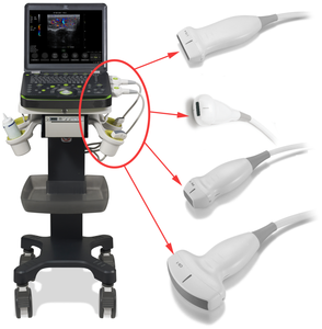 Kanistar mesin <span class=keywords><strong>Ultrasound</strong></span> portabel, peralatan diagnostik ultrasonik B untuk rumah sakit - Product Image 3