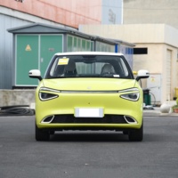 Dongfeng Nano 01 2025 430 Air Plus Smart + Max Comodidad interior y tecnología para uso familiar Mini coche eléctrico Nano 01