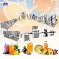 Citrusverwerkingsinstallatie Mango Pulp Productiefabriek Turnkey Verse Sap Persinstallatie Productielijn 100kg Capaciteit